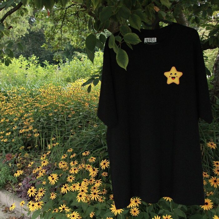 STARLIGHT – Image 2